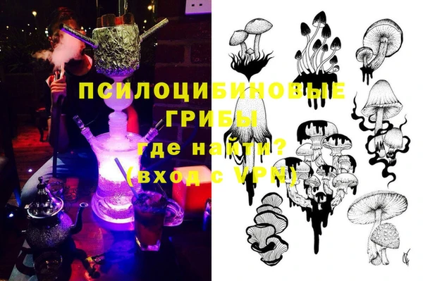 хмурый Верхний Тагил
