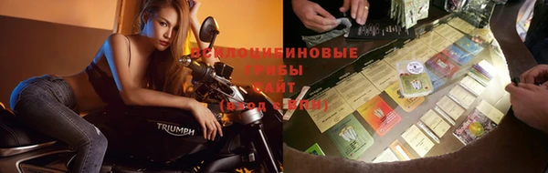 хмурый Верхний Тагил