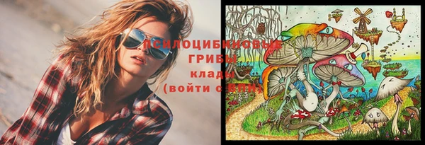 гашик Тутаев