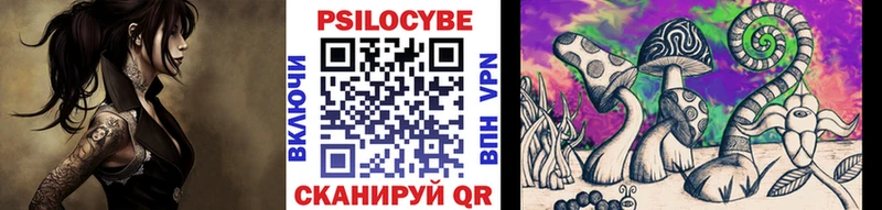 Псилоцибиновые грибы мухоморы  купить наркотик  Мончегорск 